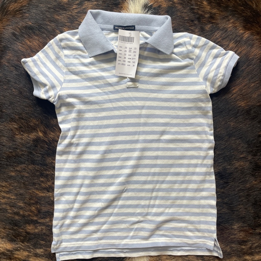 Brandy Melville Light Blue and White Polo